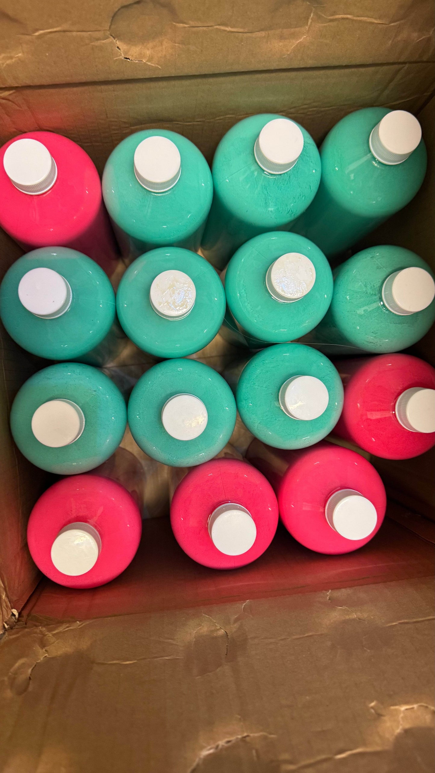 BeBear® Extra Paint Add-On - BeBear Studio®